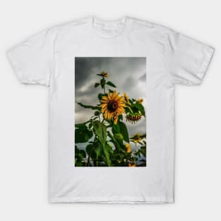 Sunflowers and storms ( We stand with Ukraine) T-Shirt
